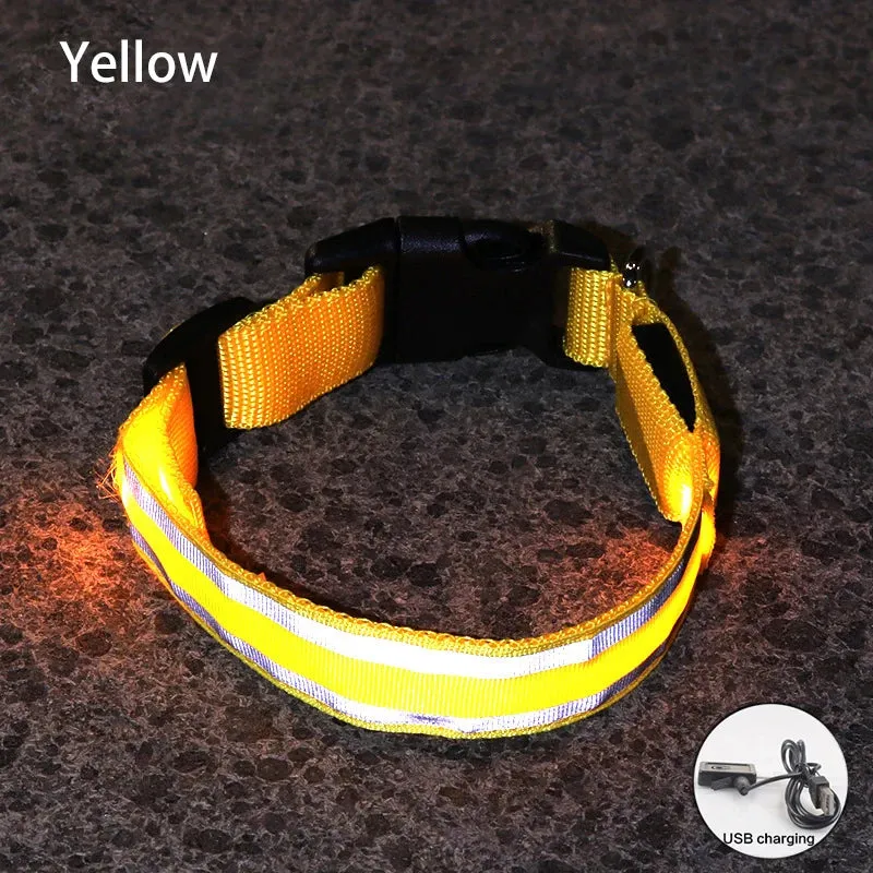 Reflective LED Dog Collar - USB Rechargeable and Button Battery Options