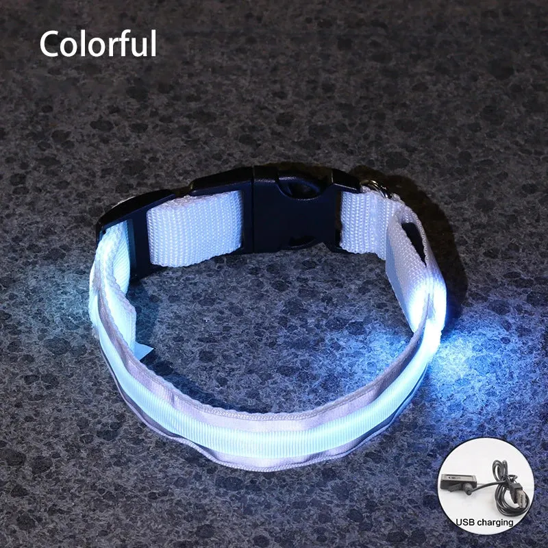 Reflective LED Dog Collar - USB Rechargeable and Button Battery Options