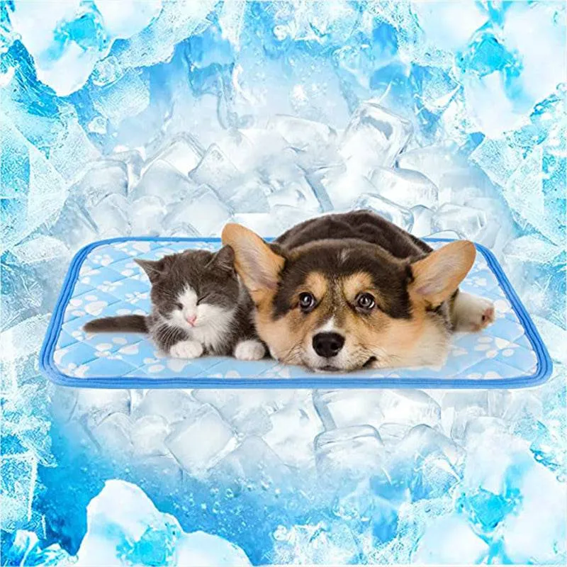 Revolutionary Cooling Mat for Pets,Blue Arc-chill Pro Natural Q Max 0.3