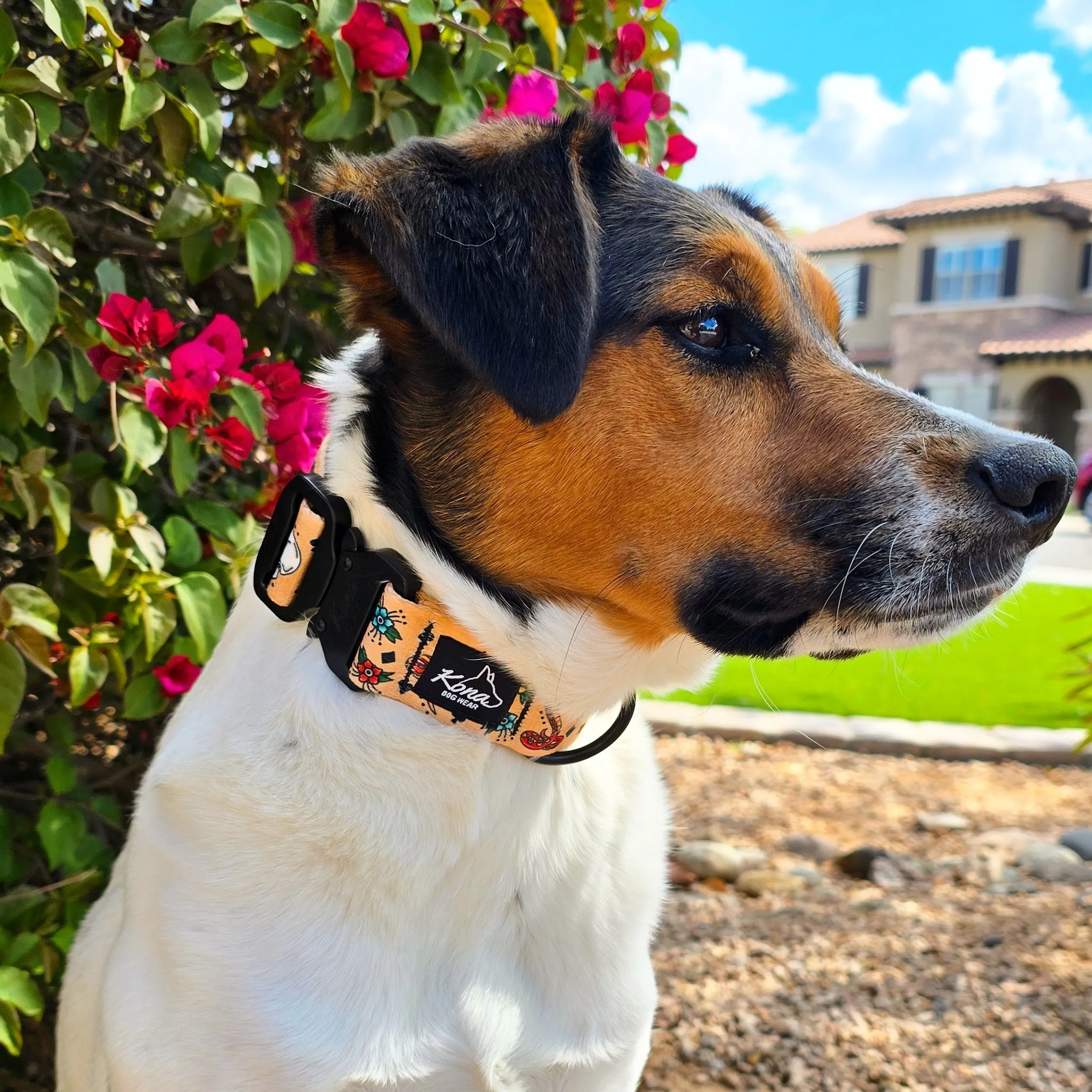 Sailor Ink Buckle Collar