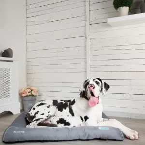 Scruffs Pet Cool Bed