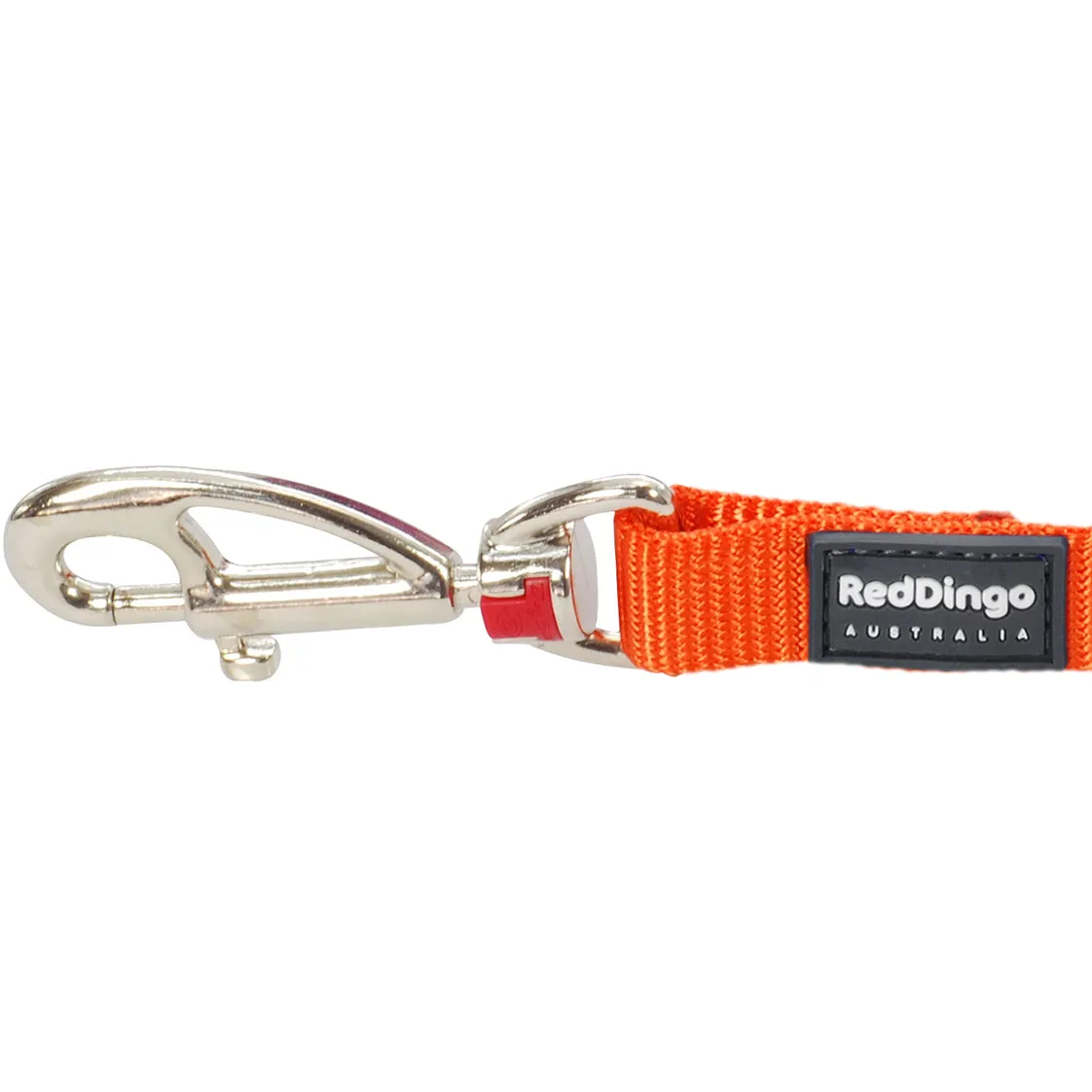 Simply Orange Dog Lead by Red Dingo