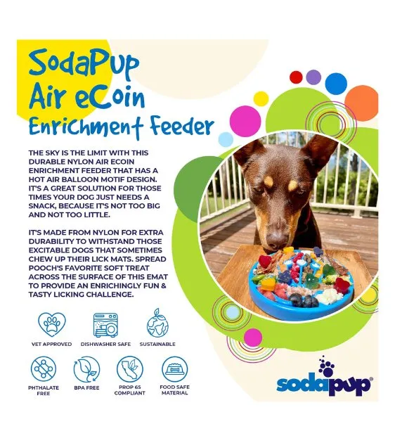 SodaPup Ultra-Durable Enrichment Snacking Coin For Dogs (Round / Green Water)