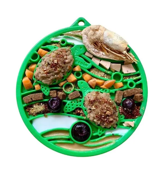 SodaPup Ultra-Durable Enrichment Snacking Coin For Dogs (Round / Green Water)