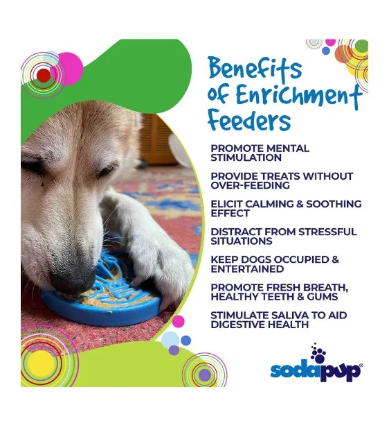 SodaPup Ultra-Durable Enrichment Snacking Coin For Dogs (Round / Green Water)