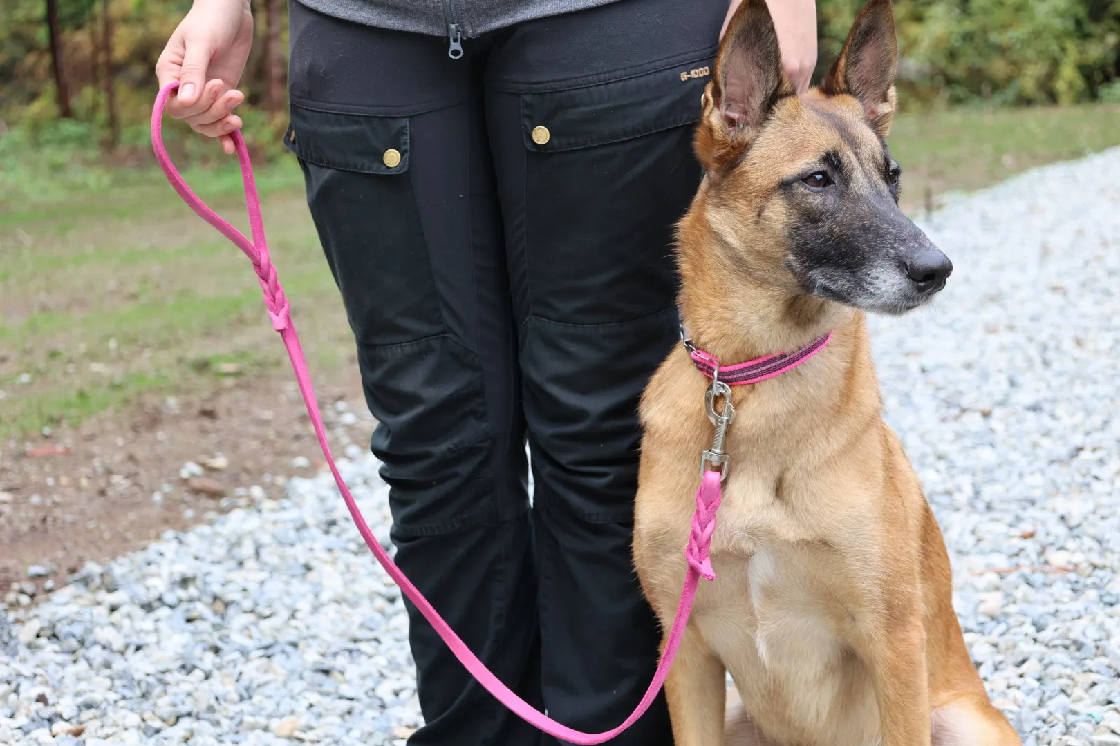 Sprenger Adjustable Collar Reflecting Pink