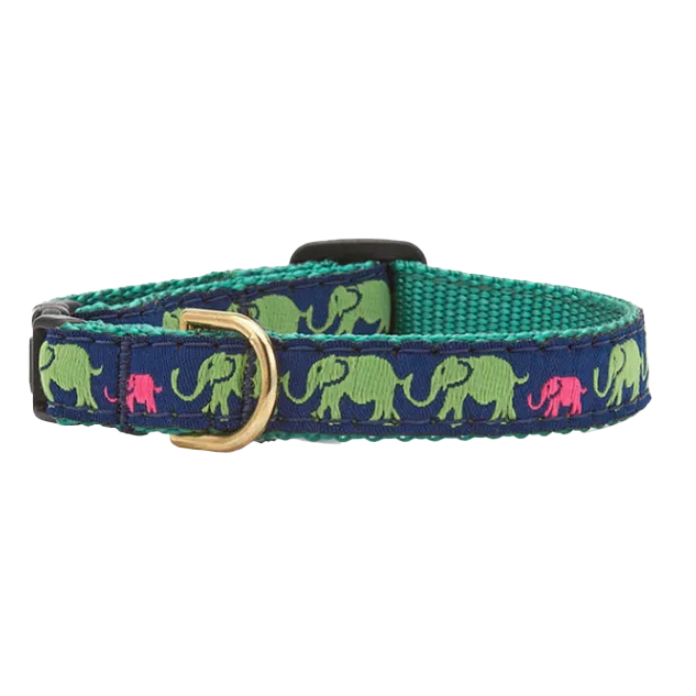 Teacup Collar | Leader Of The Pach