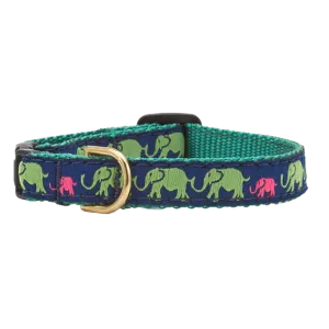 Teacup Collar | Leader Of The Pach