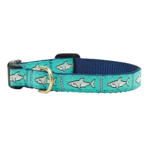 Teacup Collar | Sharks