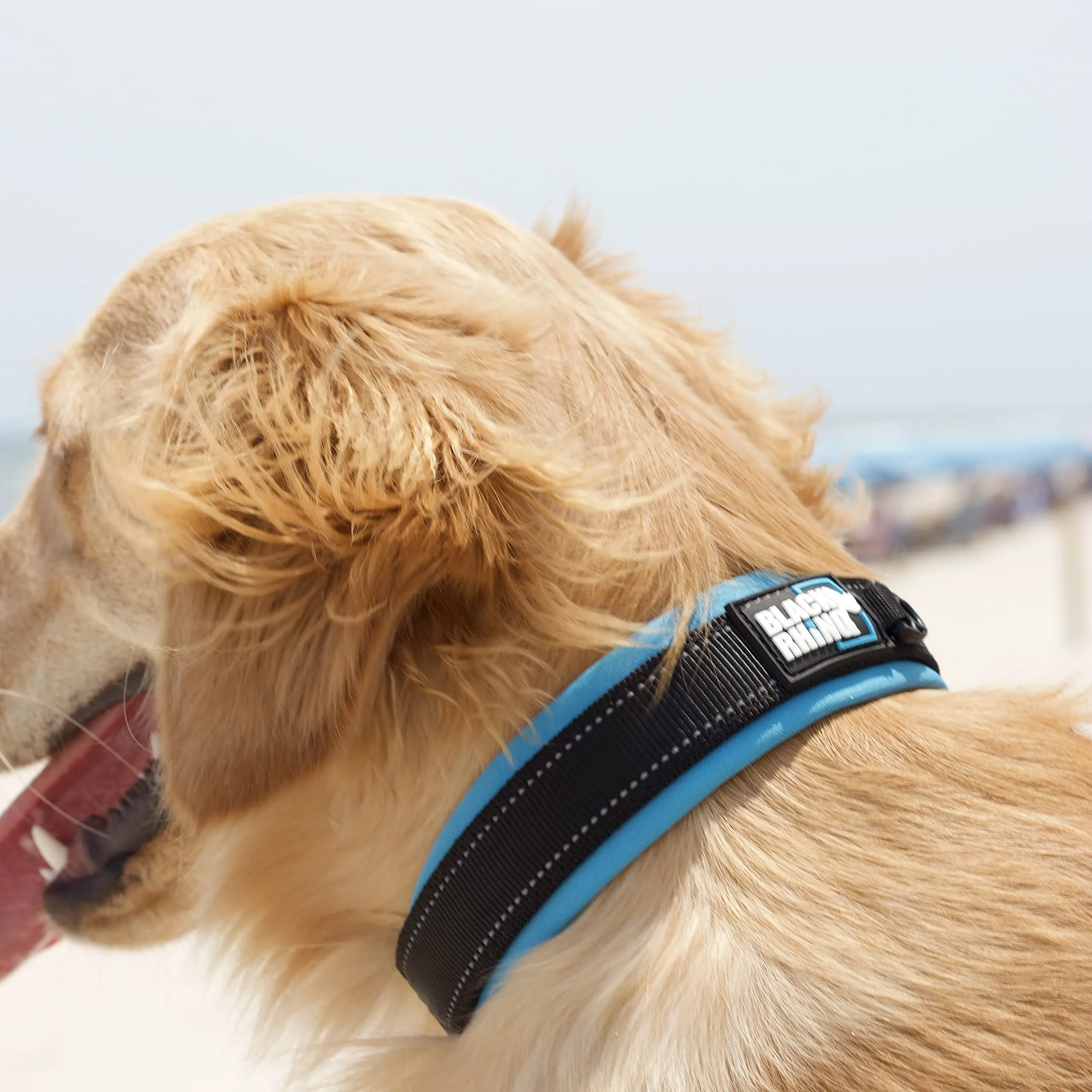 The Comfort Collar Ultra Soft Neoprene Padded Dog Collar For All Breeds