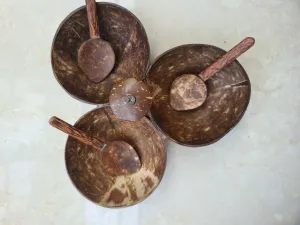 Three bowl serving set   3 spoons | Made of coconut shell