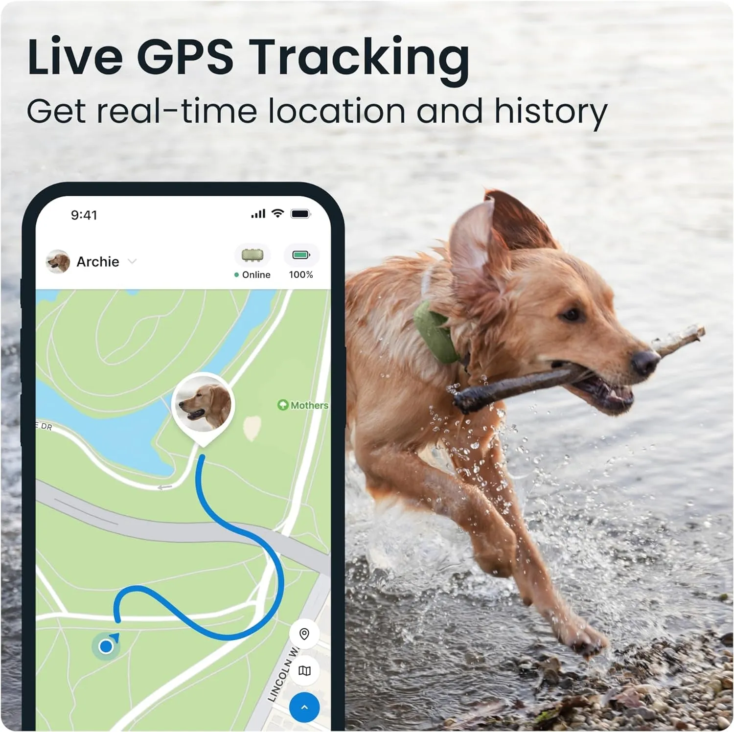 XL GPS Tracker & Health Monitoring for Dogs (50 Lbs ) - Market Leading Pet GPS Location Tracker | Wellness & Escape Alerts | Waterproof | Works with Any Collar (Green)